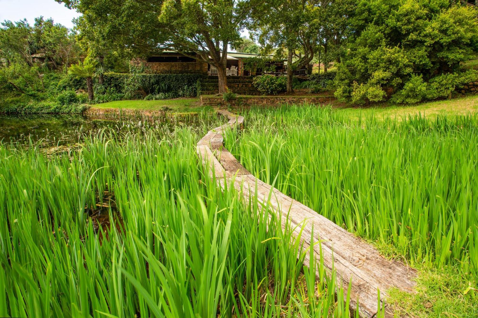 Paardeplaats Nature Retreat Rhenosterhoek Extérieur photo