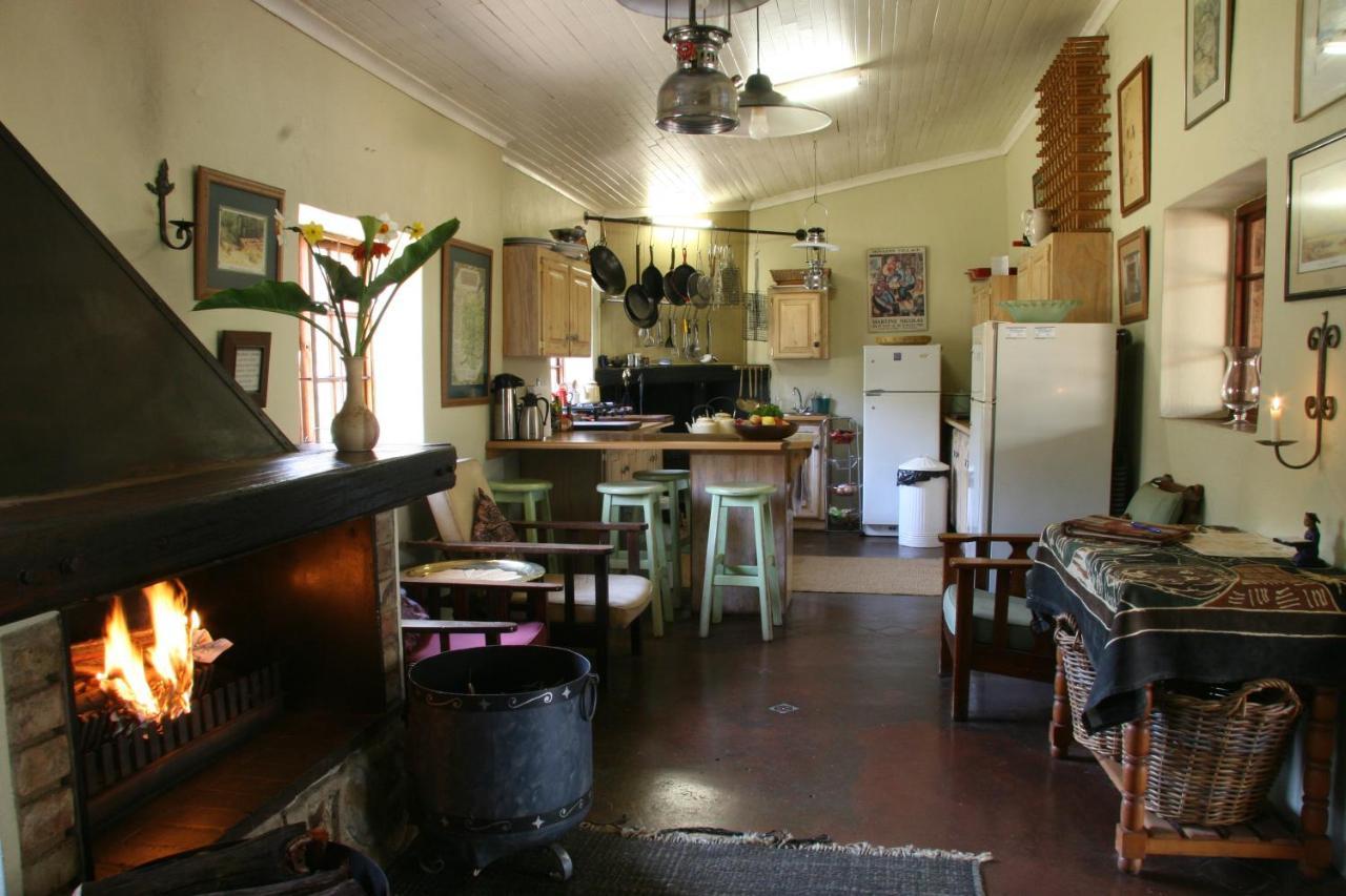 Paardeplaats Nature Retreat Rhenosterhoek Extérieur photo